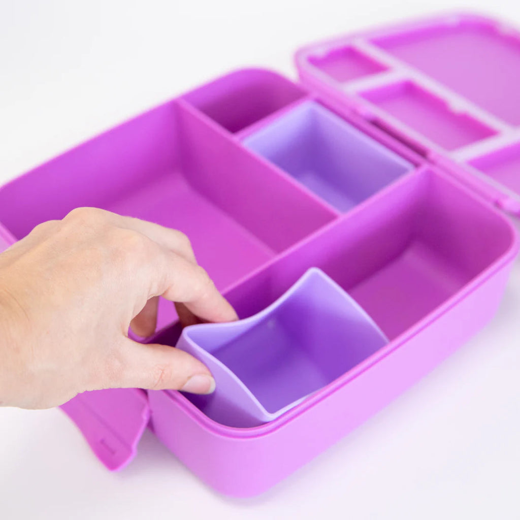 MontiiCo Feast Lunch Box - Fuchsia - Prepp'd Kids - MontiiCo