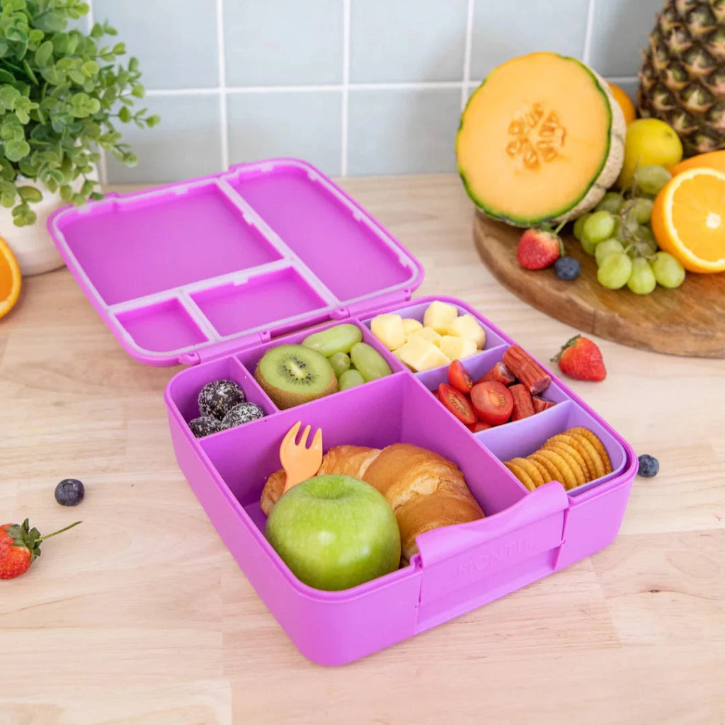 MontiiCo Feast Lunch Box - Fuchsia - Prepp'd Kids - MontiiCo