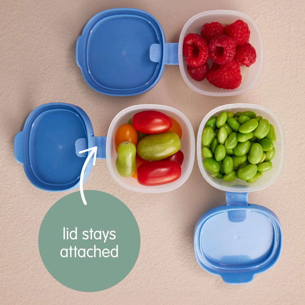 Snack Tubs - Ocean - Prepp'd Kids - B.box