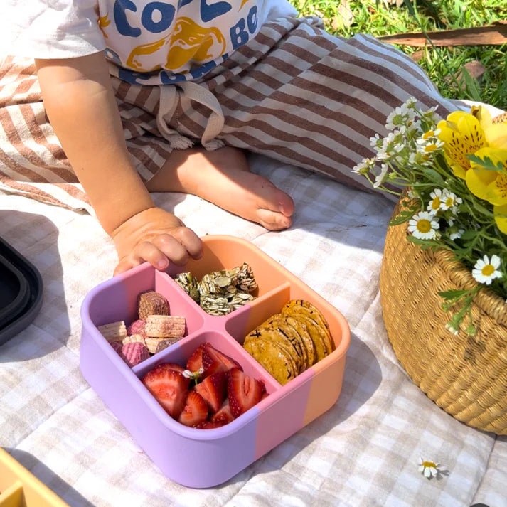 TZWP Bento Snack Box - Paddle Pop - Prepp'd Kids - Zero Waste People