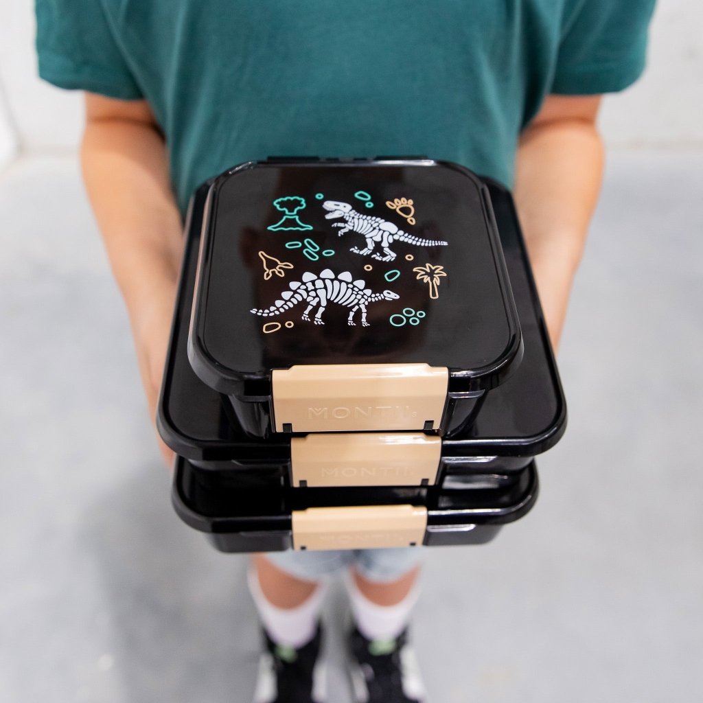 Bento Three Lunch Box - Dinosaur Land - Prepp'd Kids - MontiiCo