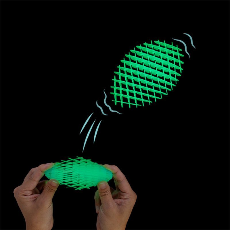 
                      
                        Glow in the Dark Flexi Worm - Large - Prepp'd Kids - Fidget Fingers
                      
                    