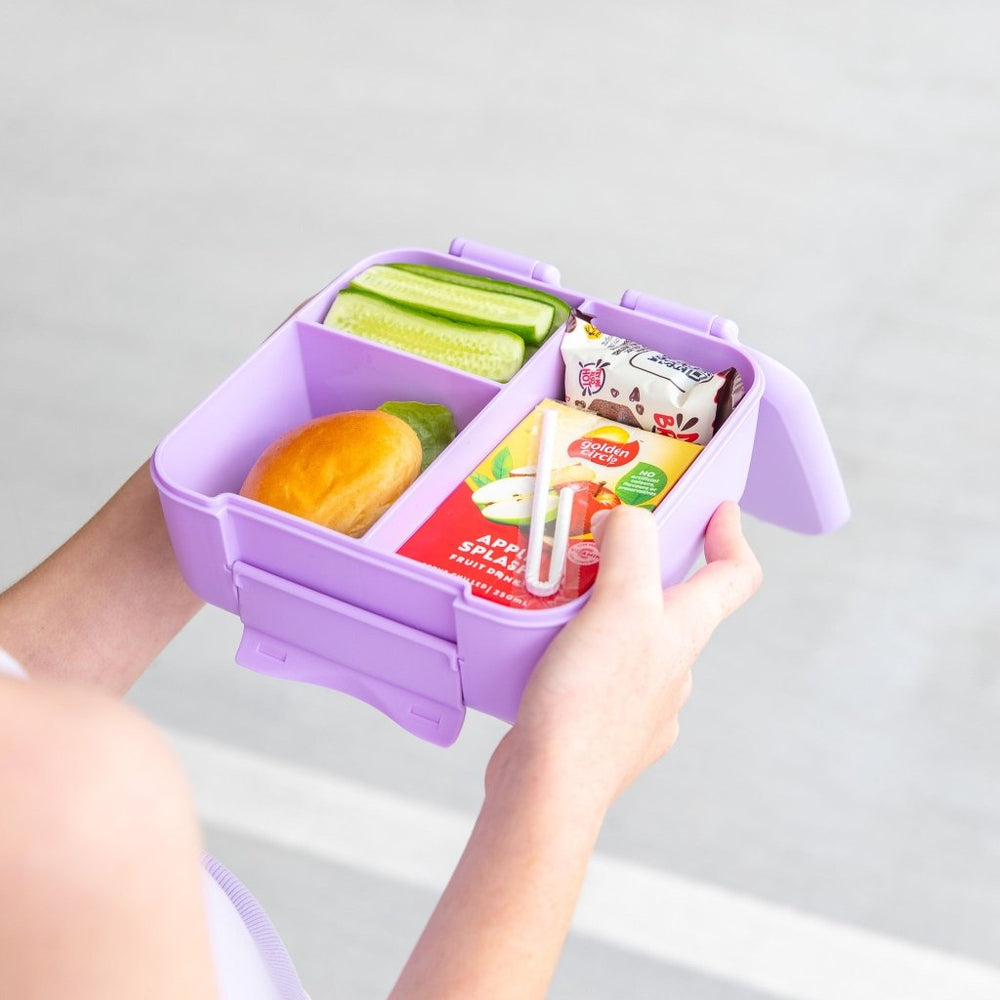 
                  
                    MontiiCo BITE Lunch Box - Lilac - Prepp'd Kids - MontiiCo
                  
                