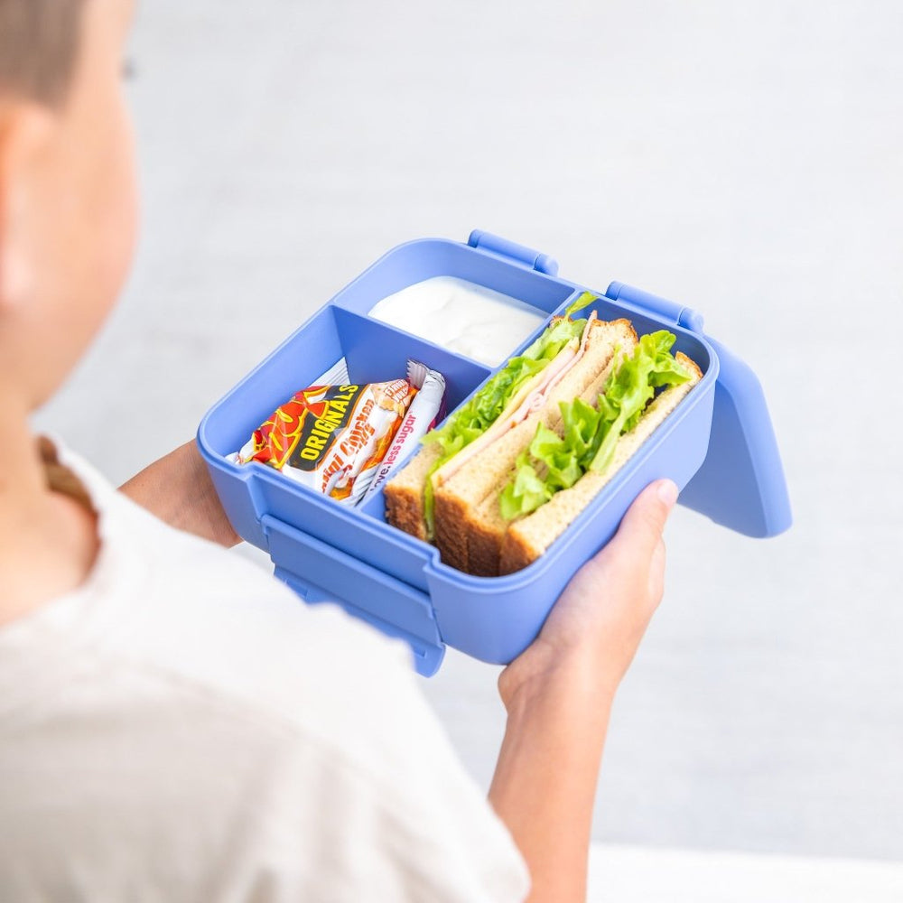 
                  
                    MontiiCo BITE Lunch Box - Splash - Prepp'd Kids - MontiiCo
                  
                