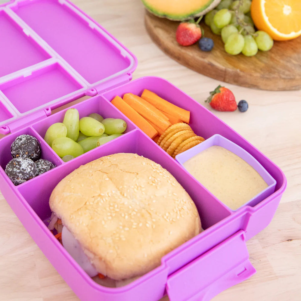 MontiiCo Feast Lunch Box - Fuchsia - Prepp'd Kids - MontiiCo