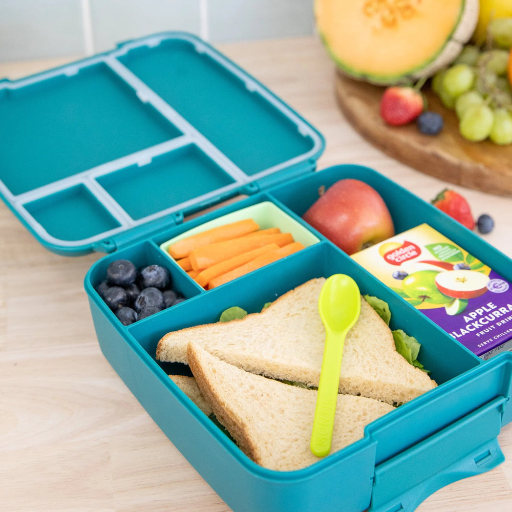 MontiiCo Feast Lunch Box - Pine - Prepp'd Kids - MontiiCo