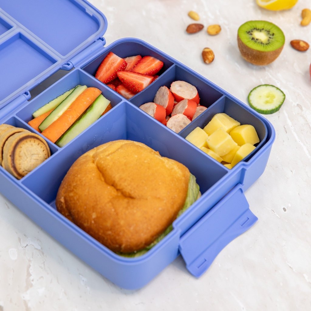 MontiiCo Feast Lunch Box - Splash - Prepp'd Kids - MontiiCo
