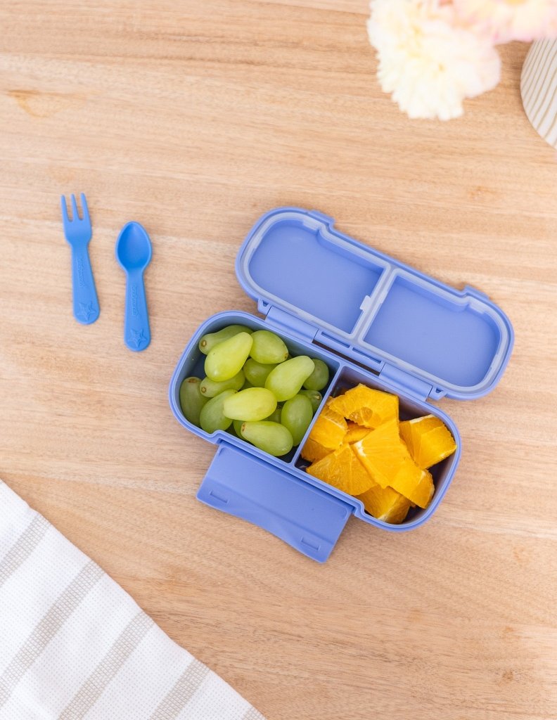 MontiiCo SNACK Lunch Box - Splash - Prepp'd Kids - MontiiCo