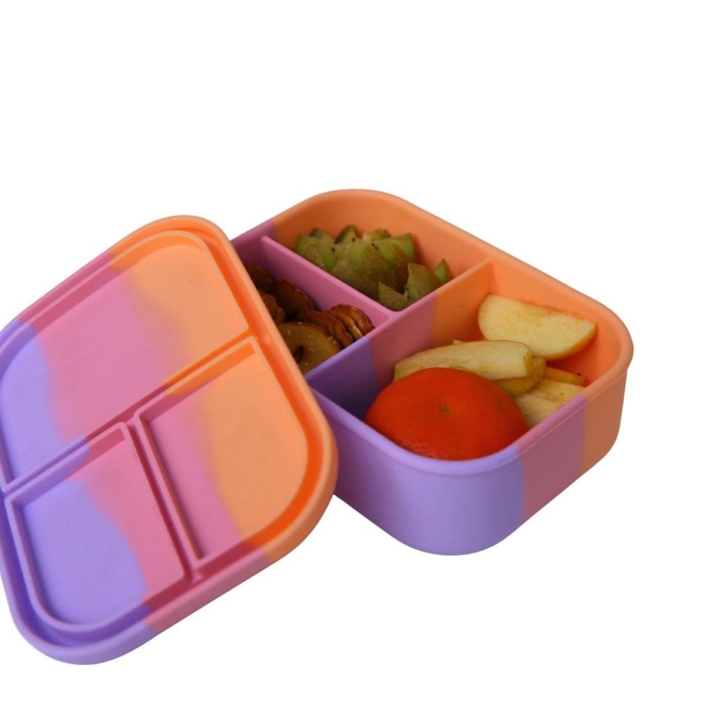 TZWP Bento Nibble - Paddle Pop - Prepp'd Kids - Zero Waste People