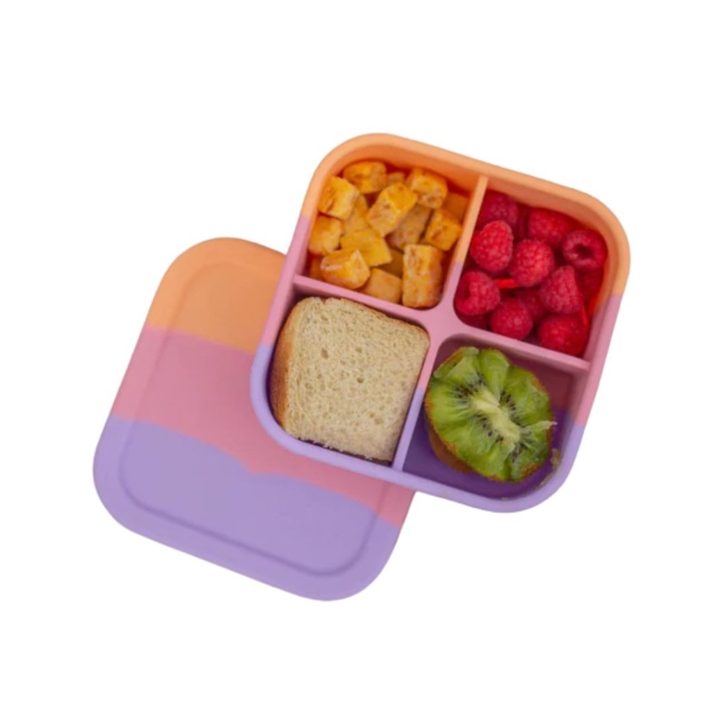 TZWP Bento Snack Box - Paddle Pop - Prepp'd Kids - Zero Waste People