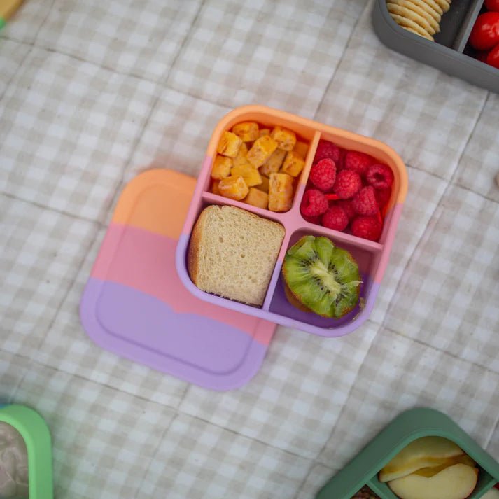 TZWP Bento Snack Box - Paddle Pop - Prepp'd Kids - Zero Waste People