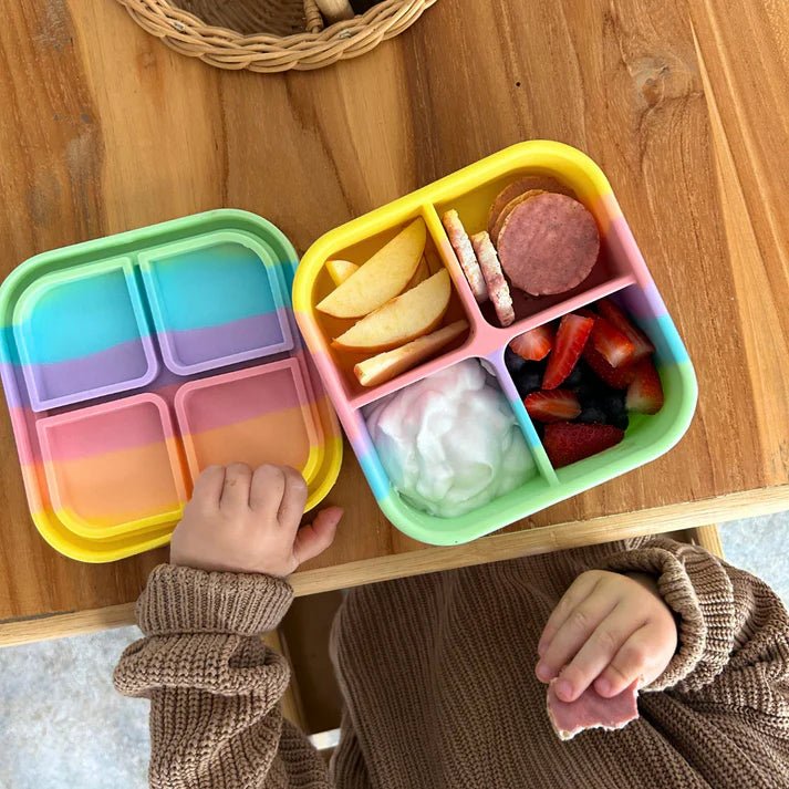 TZWP Bento Snack Box - Rainbow - Prepp'd Kids - Zero Waste People