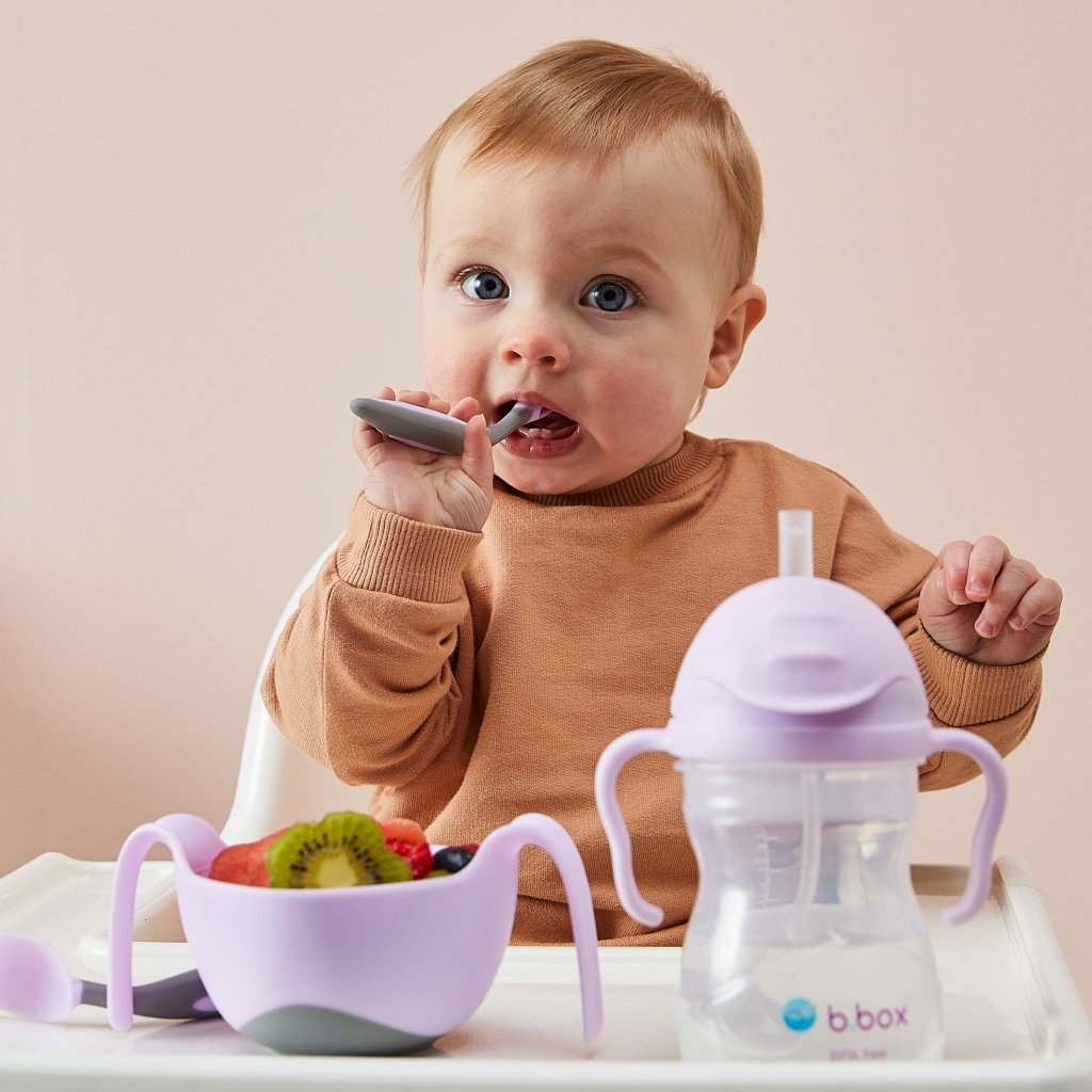 B.Box Sippy Cup - Boysenberry - Prepp'd Kids - B.box