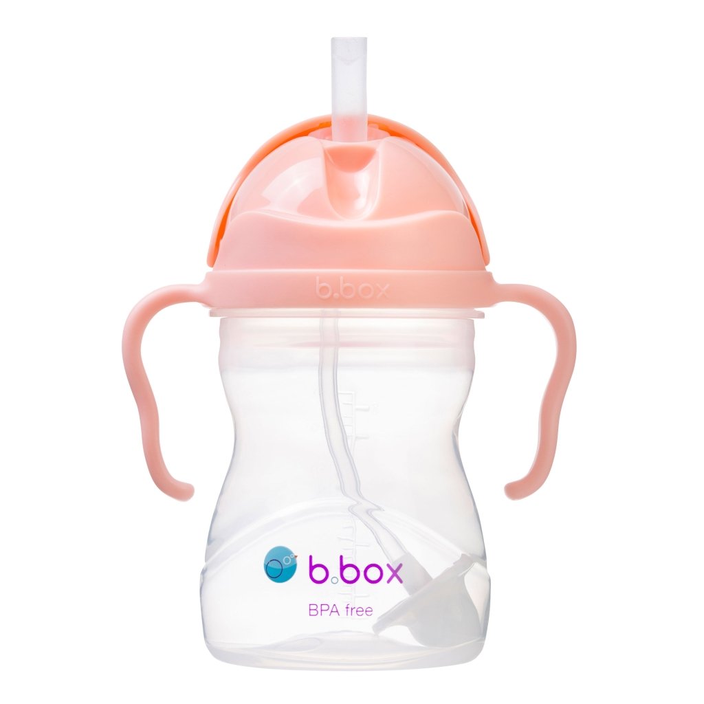 B.Box Sippy Cup - Tutti Fruiti - Prepp'd Kids - B.box