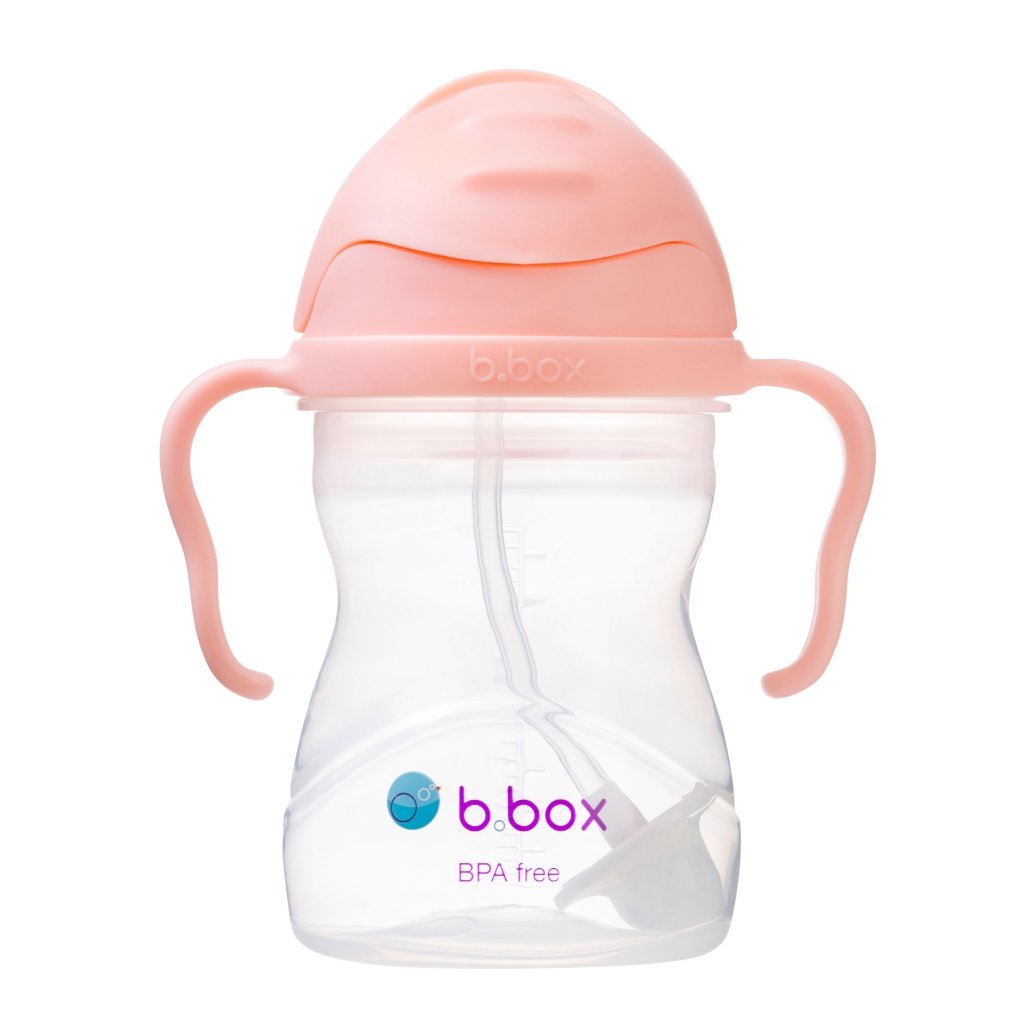 B.Box Sippy Cup - Tutti Fruiti - Prepp'd Kids - B.box