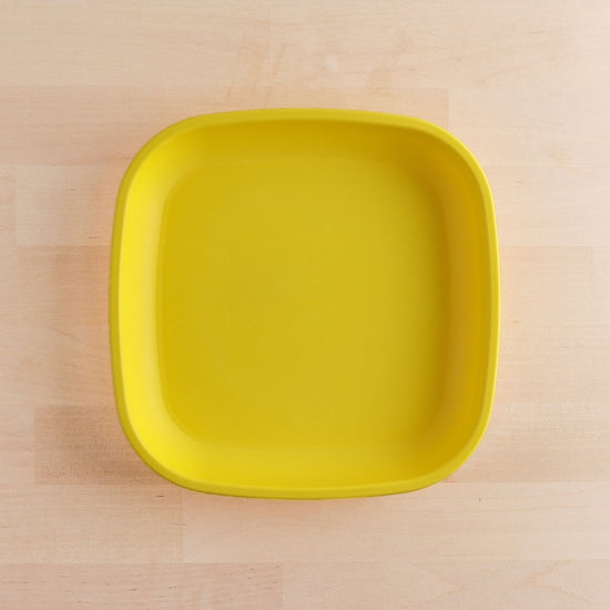Large Flat Plates - Prepp'd Kids - Re-Play Recycled