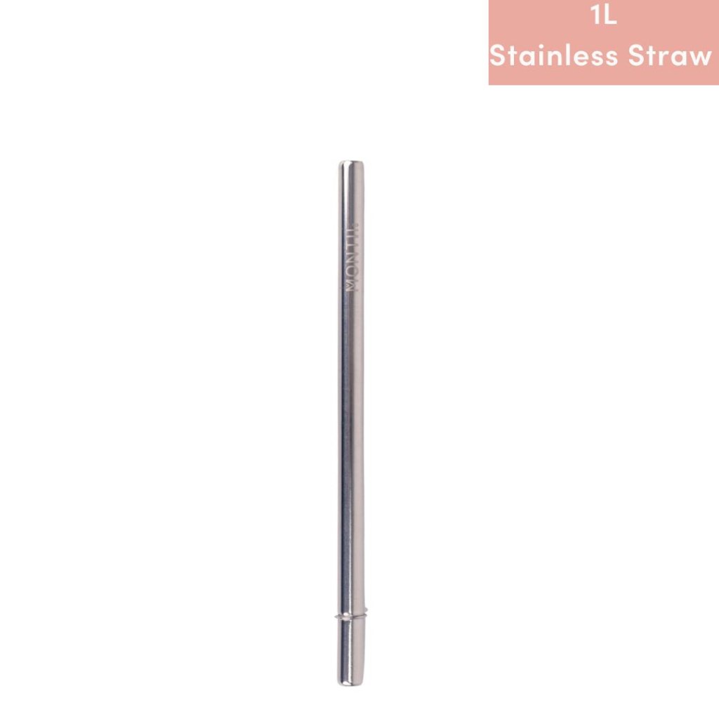 Smoothie Stainless Straw - 1L - Prepp'd Kids - MontiiCo