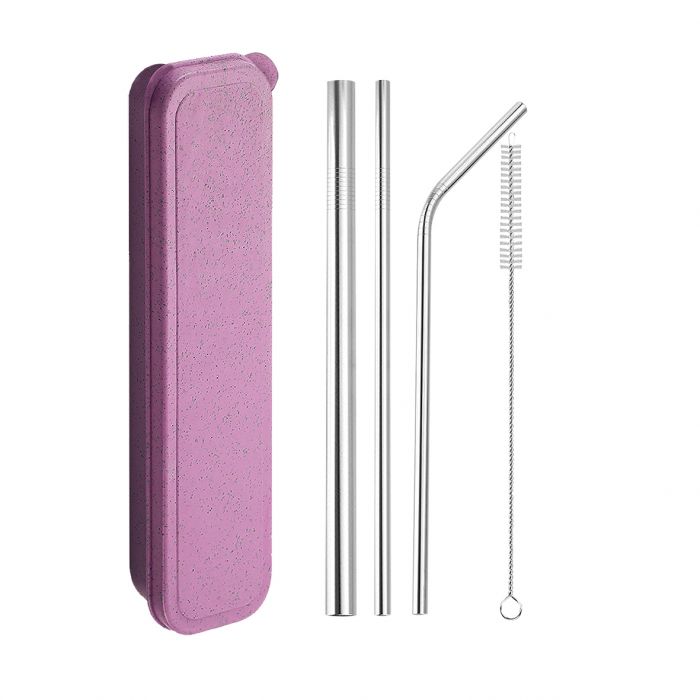 Stainless Steel Travel Straw Set (5 piece) - Purple - Prepp'd Kids - Appetito