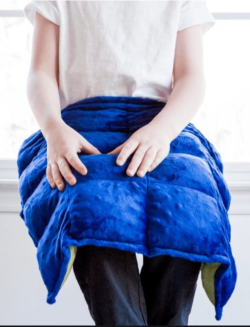 Load image into Gallery viewer, Weighted Lap Pad - Prepp&amp;#39;d Kids - Sensory Genius
