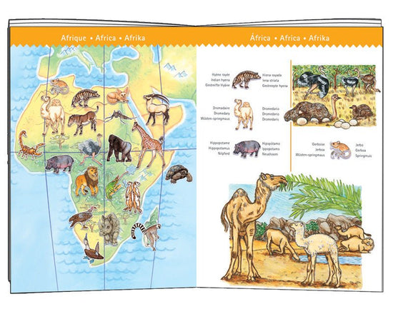 World Animals 100pc Observation Puzzle - Prepp'd Kids - Djeco
